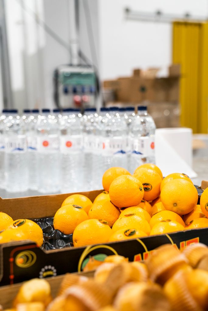 Pavelló per a persones sense llar. Caixes de taronges, magdalenes i ampolles d’aigua