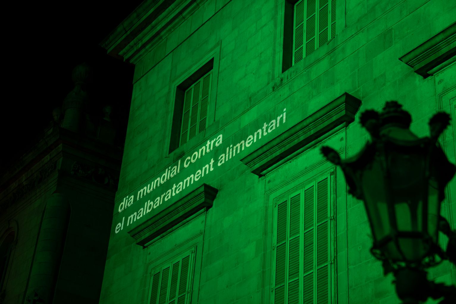 Detall de la façana il·luminada en verd amb motiu del Dia Contra el Malbaratament Alimentari