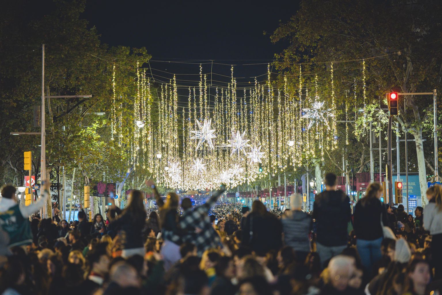 Públic assistent a l'acte d'encesa de llums de Nadal al passeig de Gràcia