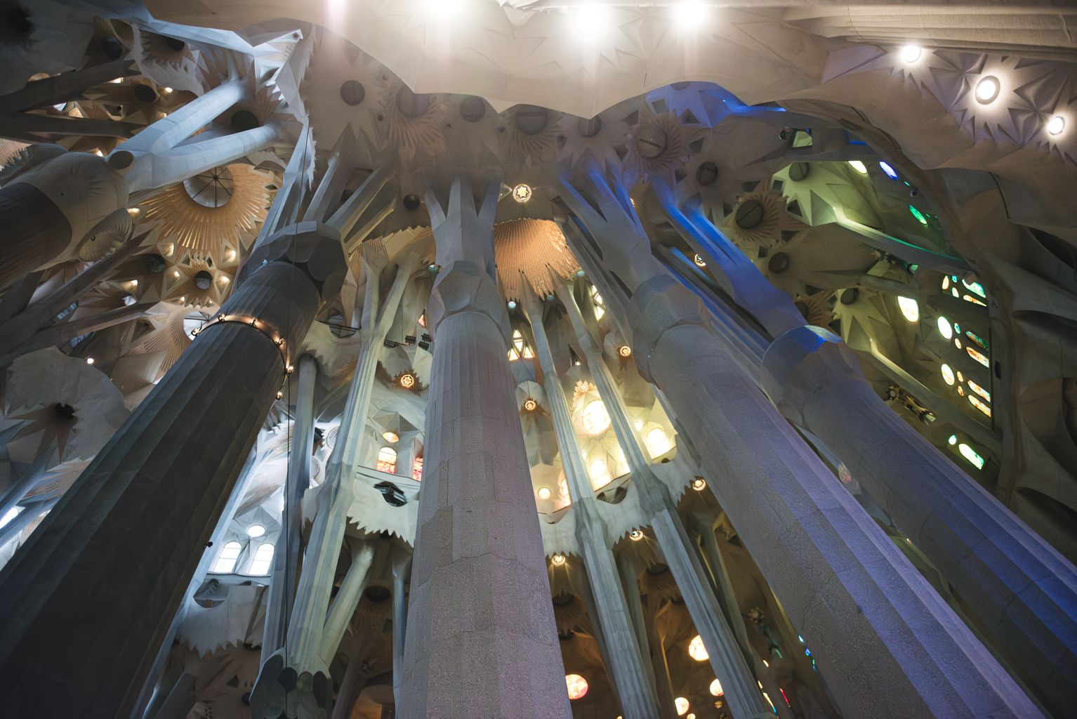 Columnes i sostre de l'interior del temple de la Sagrada Família vists des del terra.