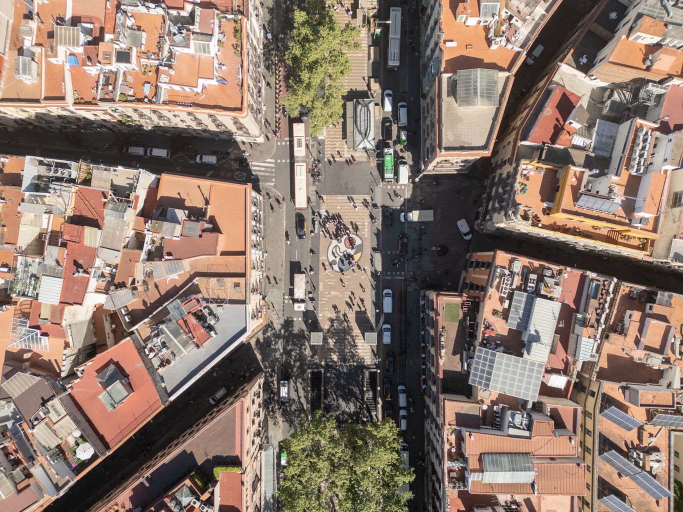 Vista aèria zenital d'un tram de la Rambla a l'altura del Liceu. S'hi poden veure els terrats dels edificis i els arbres.