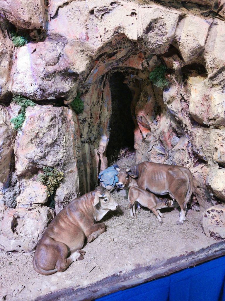 Escena d’una establia amb unes vaques del pessebre tradicional d’inspiració marinera del pati de la Fundació Marès