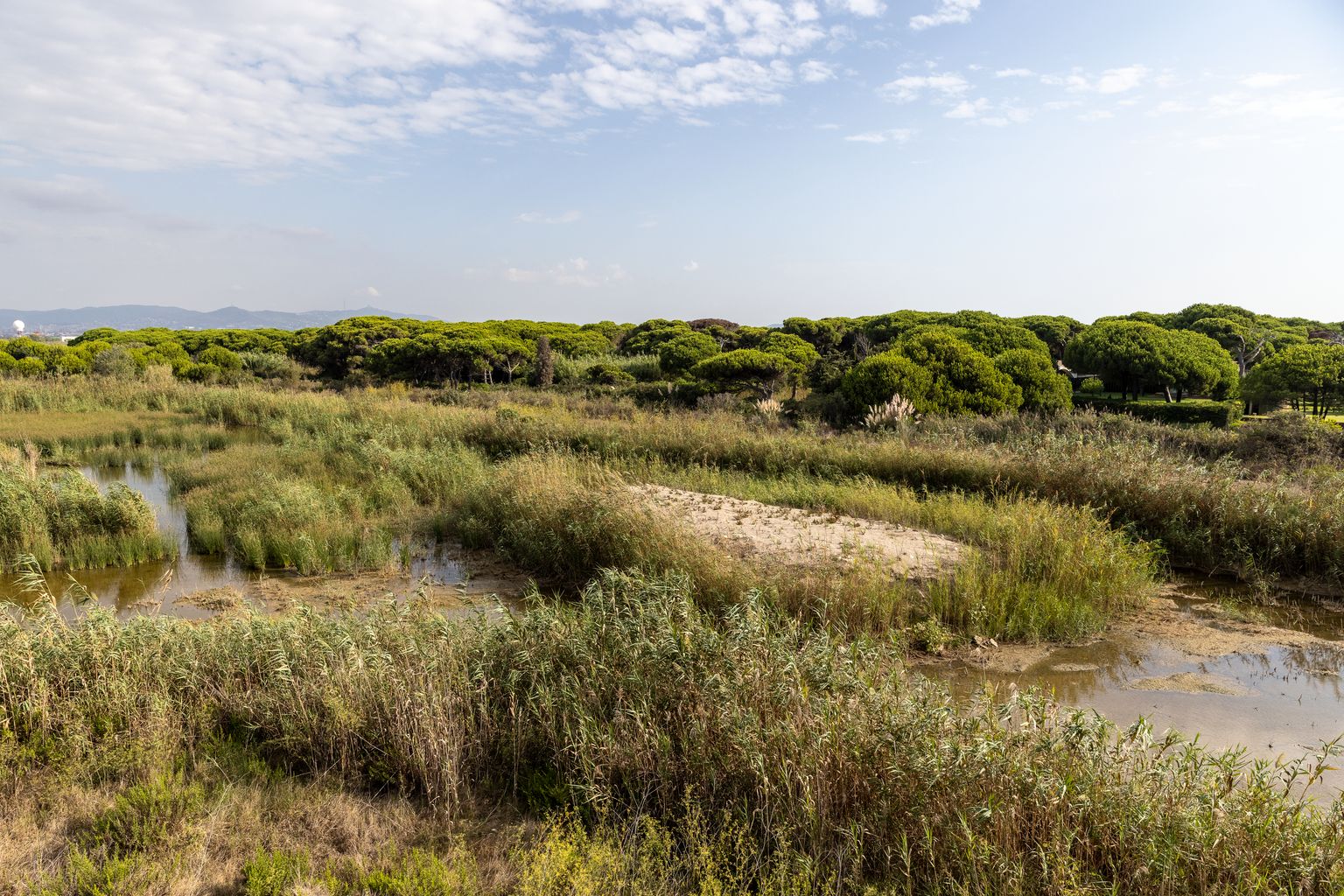 Vista de la Ricarda