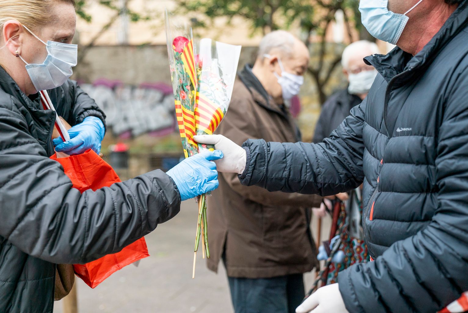 Una persona agafa dues roses que li ofereix el quiosquer distribuïdes per l’Ajuntament als quioscos de Diverscoop amb motiu de Sant Jordi