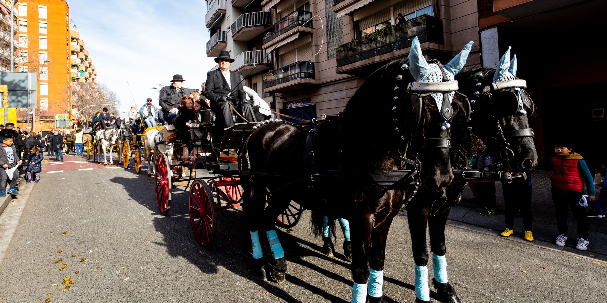 Desfilada de carros tirats per cavalls guarnits per als Tres Tombs