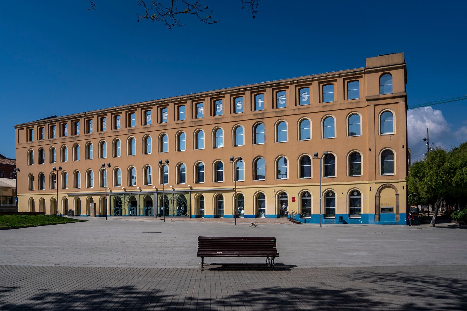 Plaça de Can Fabra per on corre un gos. Barri de Sant Andreu.