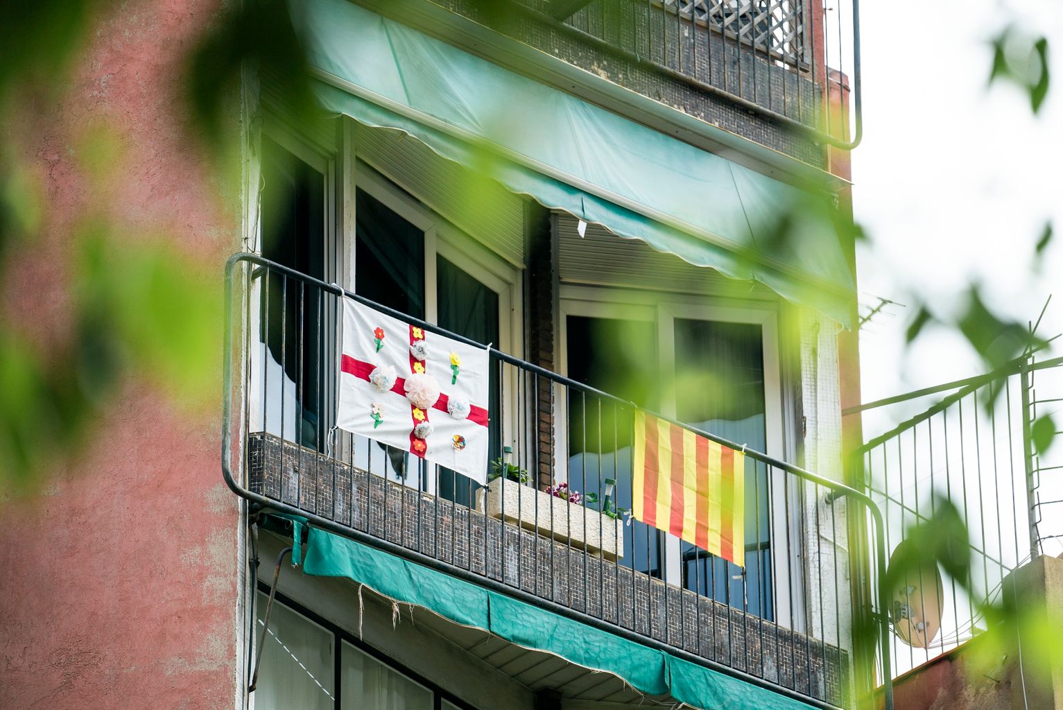 Balcón de una vivienda decorado con una bandera catalana y rosas blancas sobre una bandera con motivo de Sant Jordi