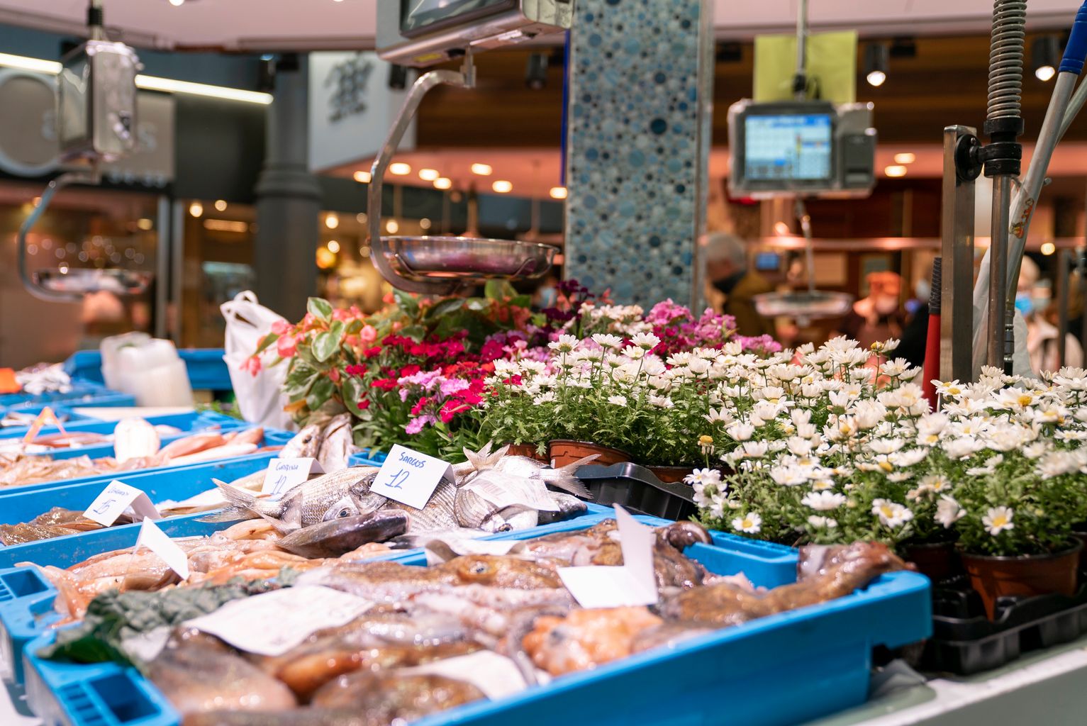 Parada de peix del Mercat de Sant Antoni amb torretes de flors de la campanya "Planta'm al balcó"