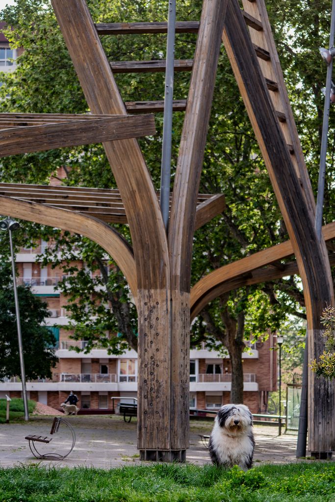 Elements ornamentals de fusta i vidre al parc Central de Nou Barris prop dels quals passegen dos gossos. Districte de Nou Barris. Barri de la Guineueta. 