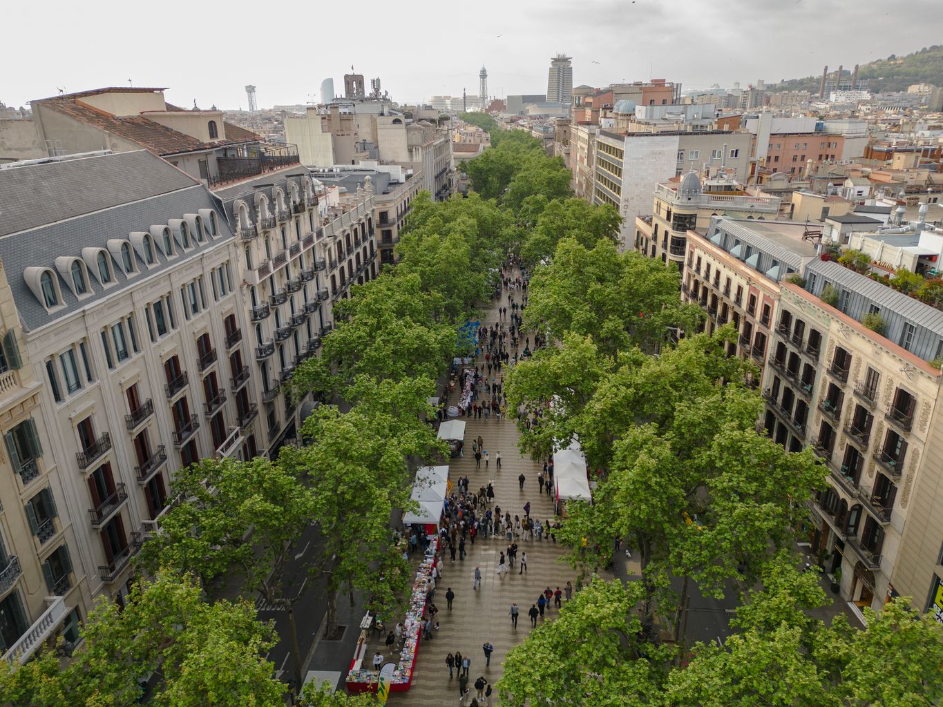 Vista aèria de les parades de Sant Jordi instal·lades a la Rambla amb gent passejant.