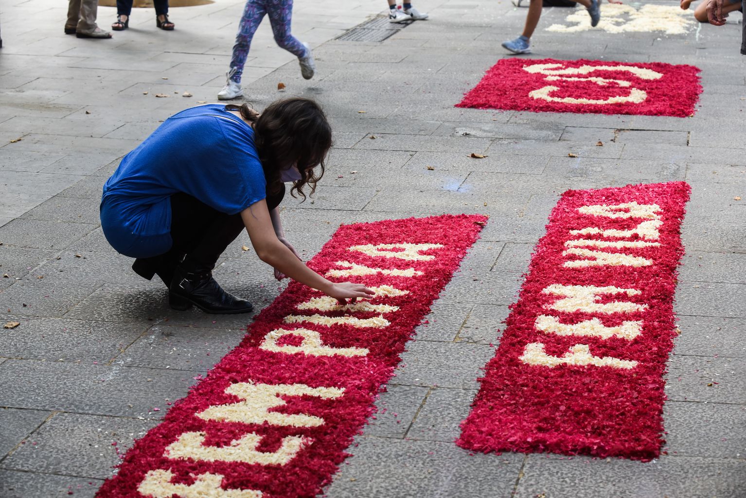 Una dona s'ajup al terra per anar omplint de flors blanques una part de la catifa que elaboren els Castellers de Sarrià amb motiu del Corpus