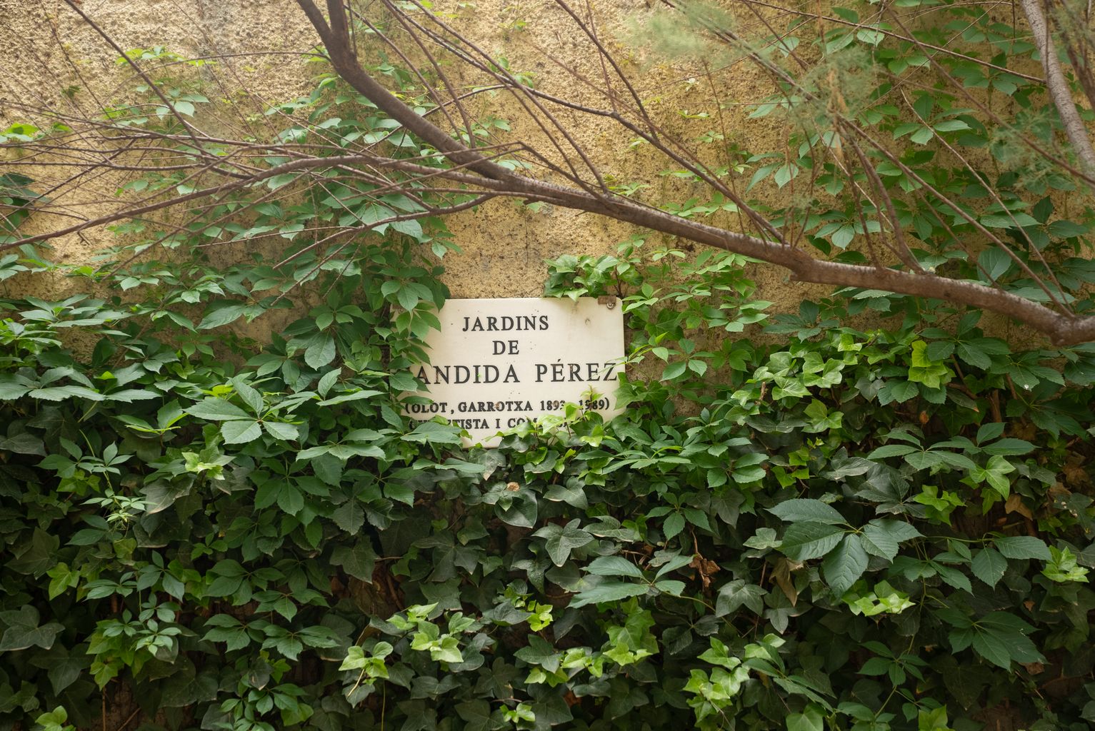 Nom de placa de carrer dels jardins de Cándida Pérez envoltat d'heura