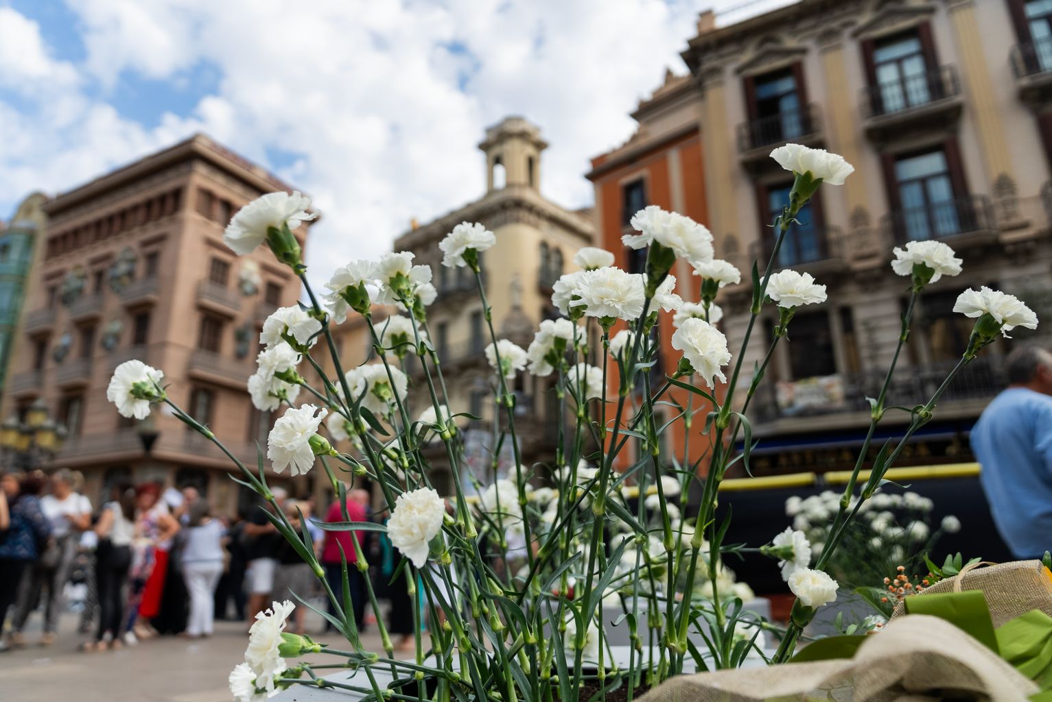 Clavells per a l’ofrena floral en senyal de respecte a les víctimes i familiars de l’atemptat