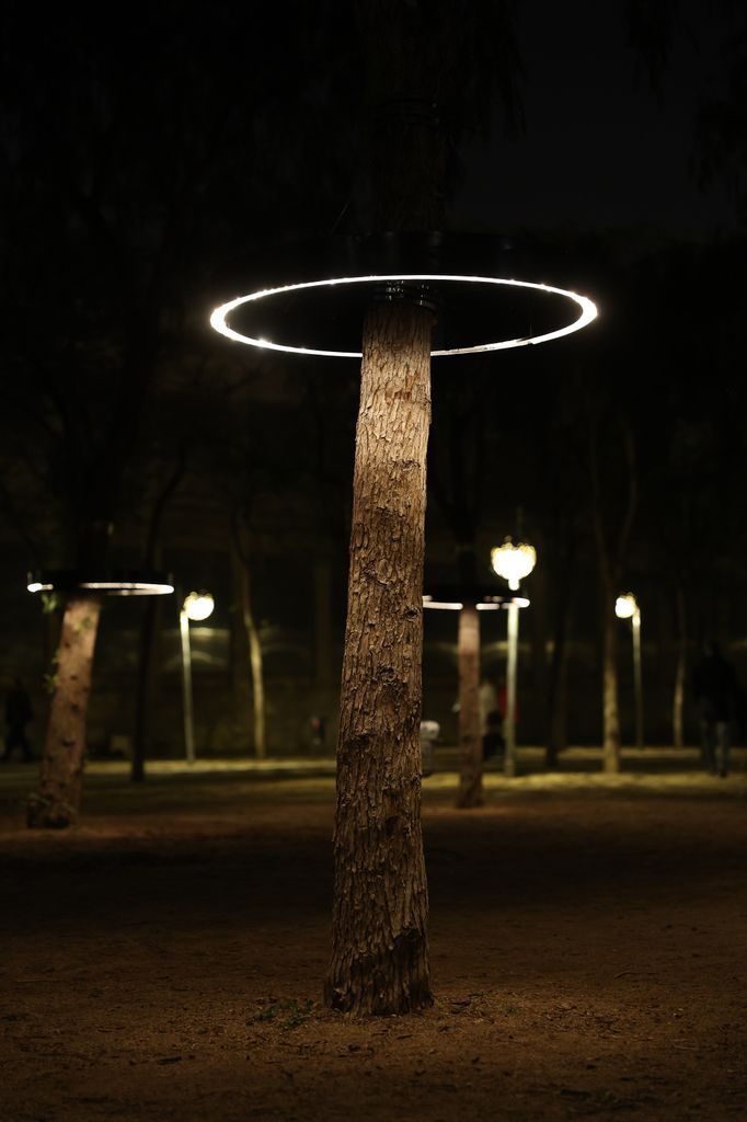 Parc d'arbres enllumenats. “LOOP”. Obra de la Universitat Internacional de Catalunya. Al Parc del Centre de Poblenou - MUHBA - c. Espronceda, 142-146
