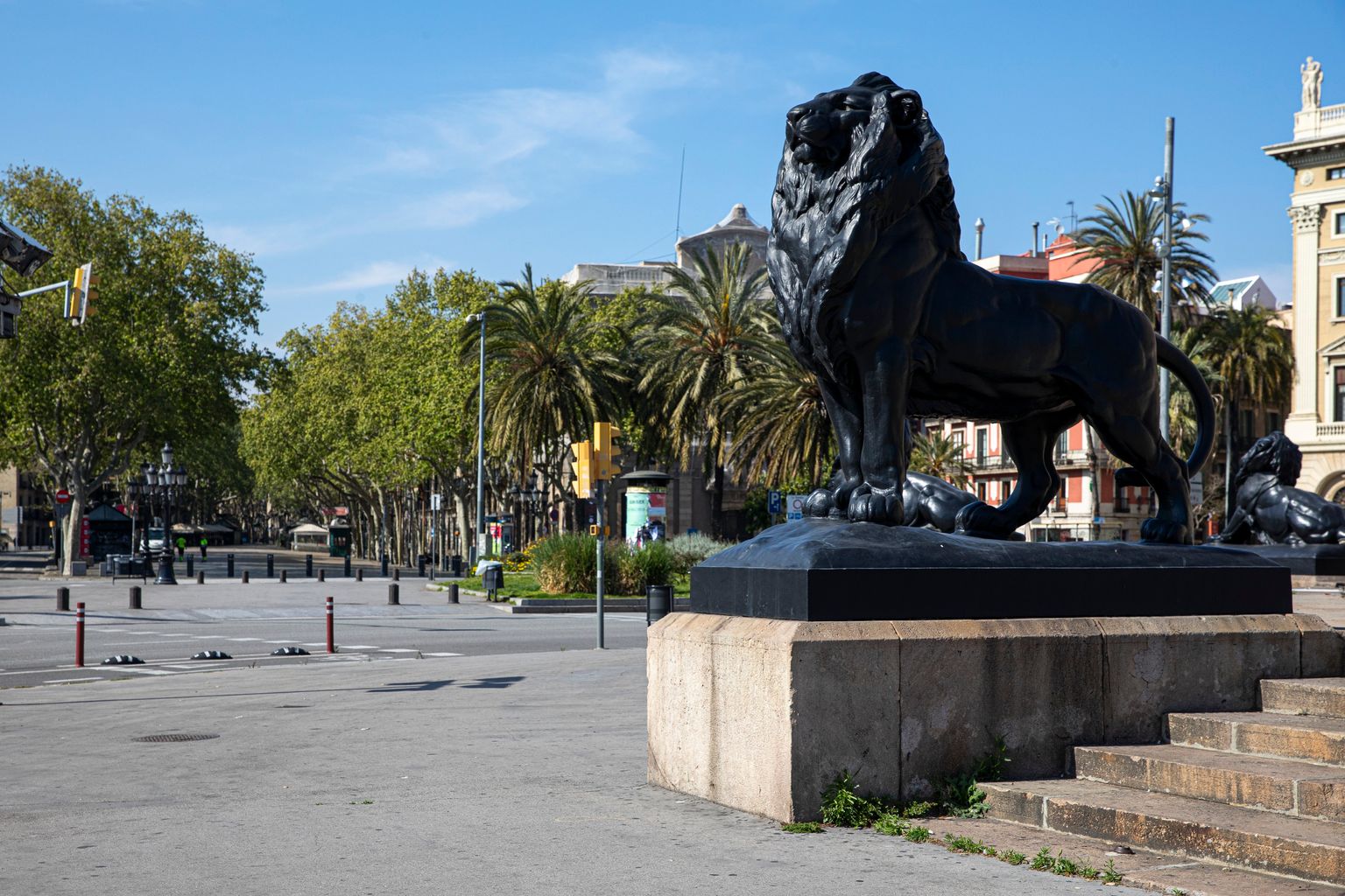 Un dels lleons del monument a Colom a la plaça del Portal de la Pau on no es veu ni gent ni vehicles. Barri de la Barceloneta.