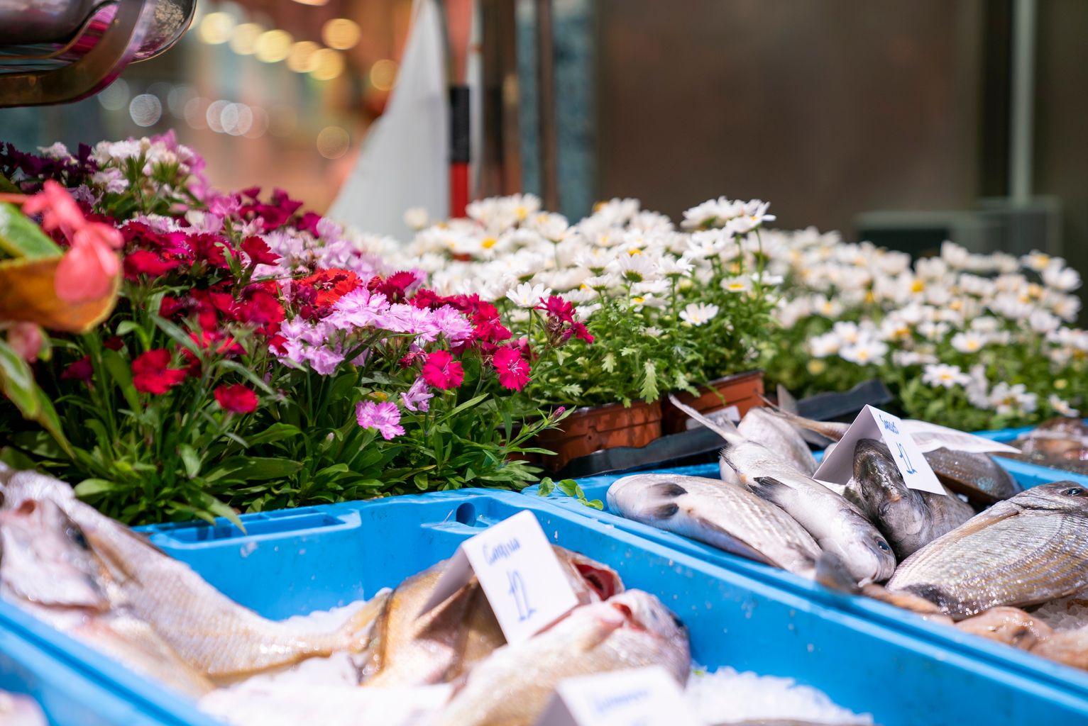 Parada de peix del Mercat de Sant Antoni amb torretes de flors de la campanya "Planta'm al balcó"