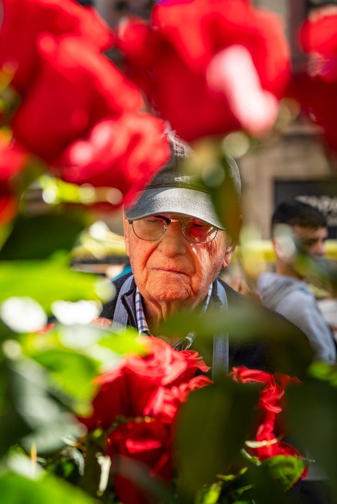 Un hombre mayor entre rosas el Día de Sant Jordi