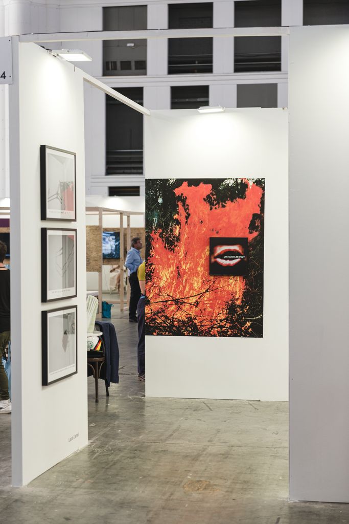 Obra d'art exposada a la 16a edició de la Fira Internacional d'Art Contemporani Swab Barcelona