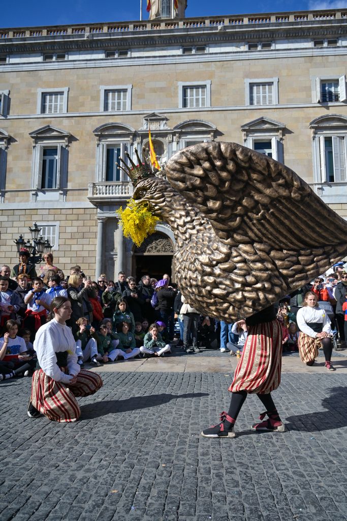 Ball de l’Àliga de Barcelona a les Festes de Santa Eulàlia 2025