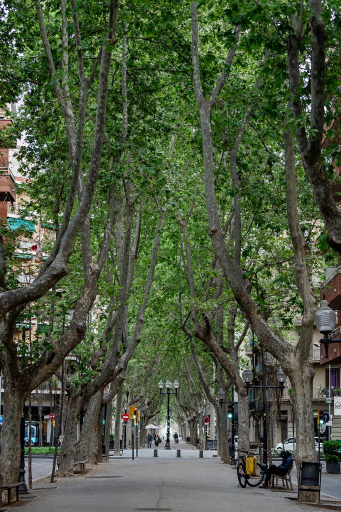 Rambla del Poblenou on es veu molt poca gent, entre ells un repartidor descansant en un banc. Districte de Sant Martí. Barri del Poblenou. 
