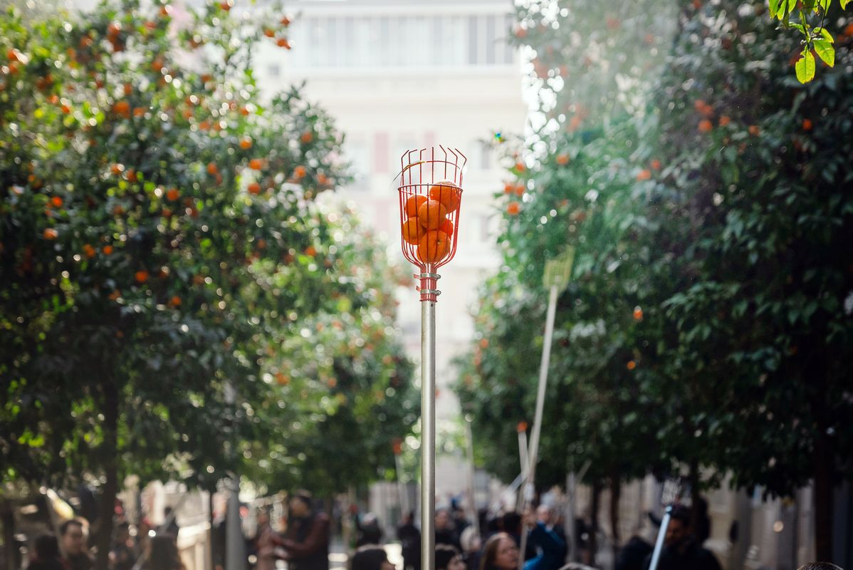 
             Forca amb taronges amargues dels tarongers de l’Eixample
             Autor: Lucas Amillano
             Mostra els detalls de la imatge Forca amb taronges amargues dels tarongers de l’Eixample
             