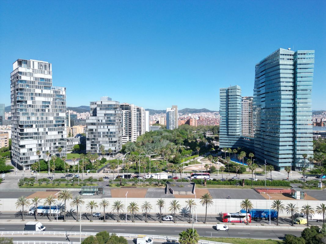 
             Vista aérea de la avenida del Litoral con coches y una zona verde del paseo d...
             Autor: Júlia Arnau
             Ver los detalles de la imagen Vista aérea de la avenida del Litoral con coches y una zona verde del paseo d...
             