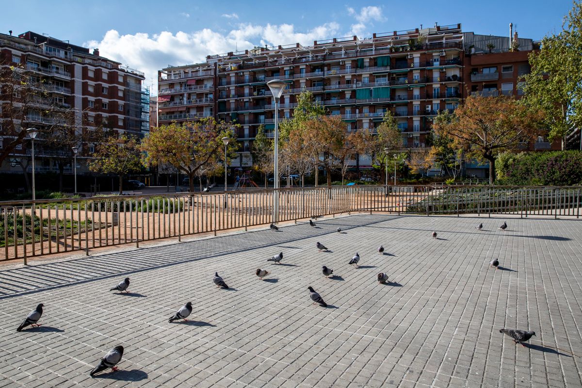 <div class='imageHoverDetail'>
             <p class='imageHoverTitle twoLineBreak'>Districte de Sants-Montjuïc. Jardins de Can Mantega buits amb només els coloms</p>
             <p class='imageHoverAutor oneLineBreak'>Autor: Edu Bayer</p>
             <button class='imageHoverBtn'>Mostra els detalls de la imatge <span class='sr-only'>Districte de Sants-Montjuïc. Jardins de Can Mantega buits amb només els coloms</span></button>
             </div>