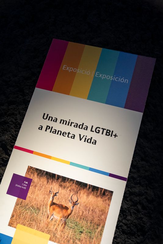 
             Cartell informatiu de l’exposició “Una mirada LGTBI+ a Planeta Vida” al Museu...
             Autor: Àlex Losada
             Mostra els detalls de la imatge Cartell informatiu de l’exposició “Una mirada LGTBI+ a Planeta Vida” al Museu...
             