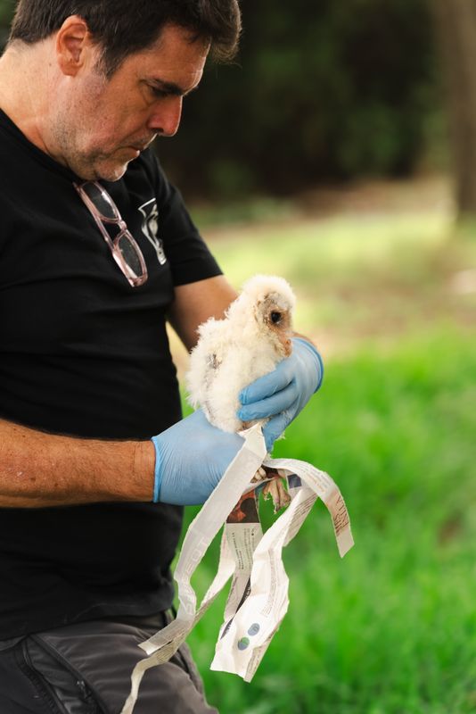 <div class='imageHoverDetail'>
             <p class='imageHoverTitle twoLineBreak'>Un home porta una òliba per a la reintroducció local de l’espècie a la m...</p>
             <p class='imageHoverAutor oneLineBreak'>Autor: Isaac Carbonell</p>
             <button class='imageHoverBtn'>Mostra els detalls de la imatge <span class='sr-only'>Un home porta una òliba per a la reintroducció local de l’espècie a la m...</span></button>
             </div>