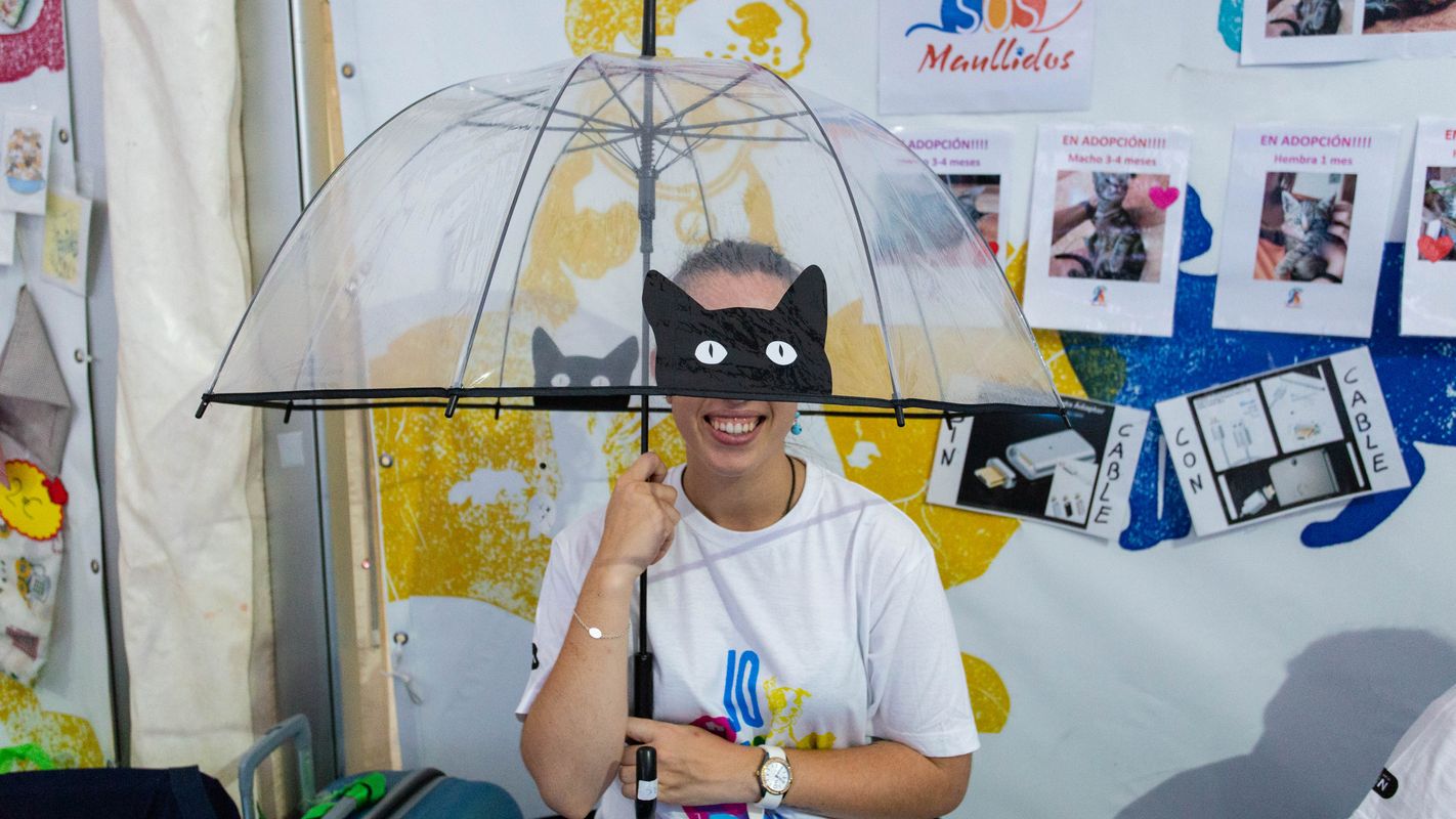 <div class='imageHoverDetail'>
             <p class='imageHoverTitle twoLineBreak'>Fira Associa't</p>
             <p class='imageHoverAutor oneLineBreak'>Autor: Goroka (Empresa)</p>
             <button class='imageHoverBtn'>Mostra els detalls de la imatge <span class='sr-only'>Fira Associa't</span></button>
             </div>