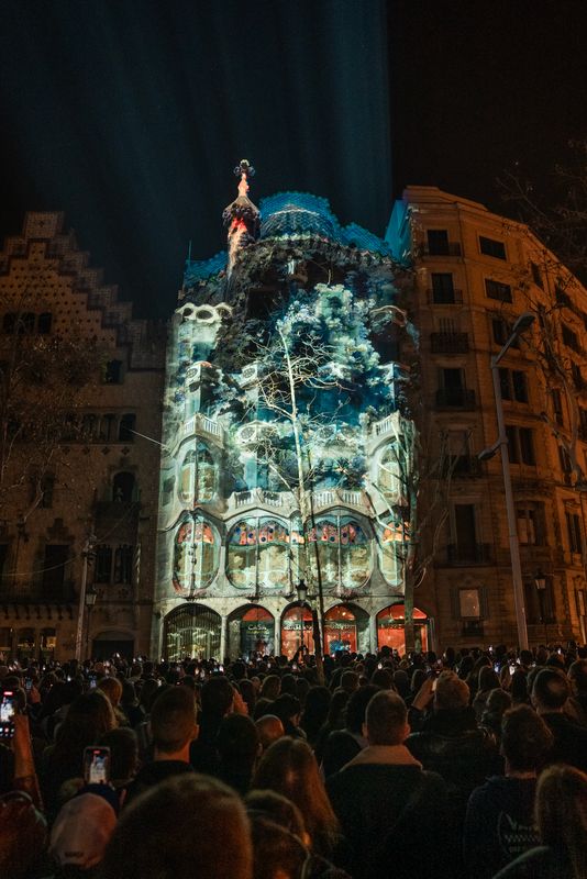 <div class='imageHoverDetail'>
             <p class='imageHoverTitle twoLineBreak'>Multitud davant el mapatge projectat a la façana de la Casa Batlló.</p>
             <p class='imageHoverAutor oneLineBreak'>Autor: Lucas Amillano</p>
             <button class='imageHoverBtn'>Mostra els detalls de la imatge <span class='sr-only'>Multitud davant el mapatge projectat a la façana de la Casa Batlló.</span></button>
             </div>
