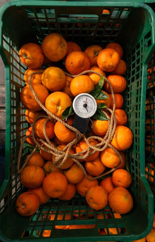 
             Caixa de taronges amargues de l’espigolada d’Horta-Guinardó amb una bàscula
             Autor: Lucas Amillano
             Mostra els detalls de la imatge Caixa de taronges amargues de l’espigolada d’Horta-Guinardó amb una bàscula
             