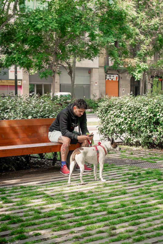 
             Un noi assegut a un banc mira el mòbil amb un gos al paviment drenant del pas...
             Autor: Júlia Arnau
             Mostra els detalls de la imatge Un noi assegut a un banc mira el mòbil amb un gos al paviment drenant del pas...
             