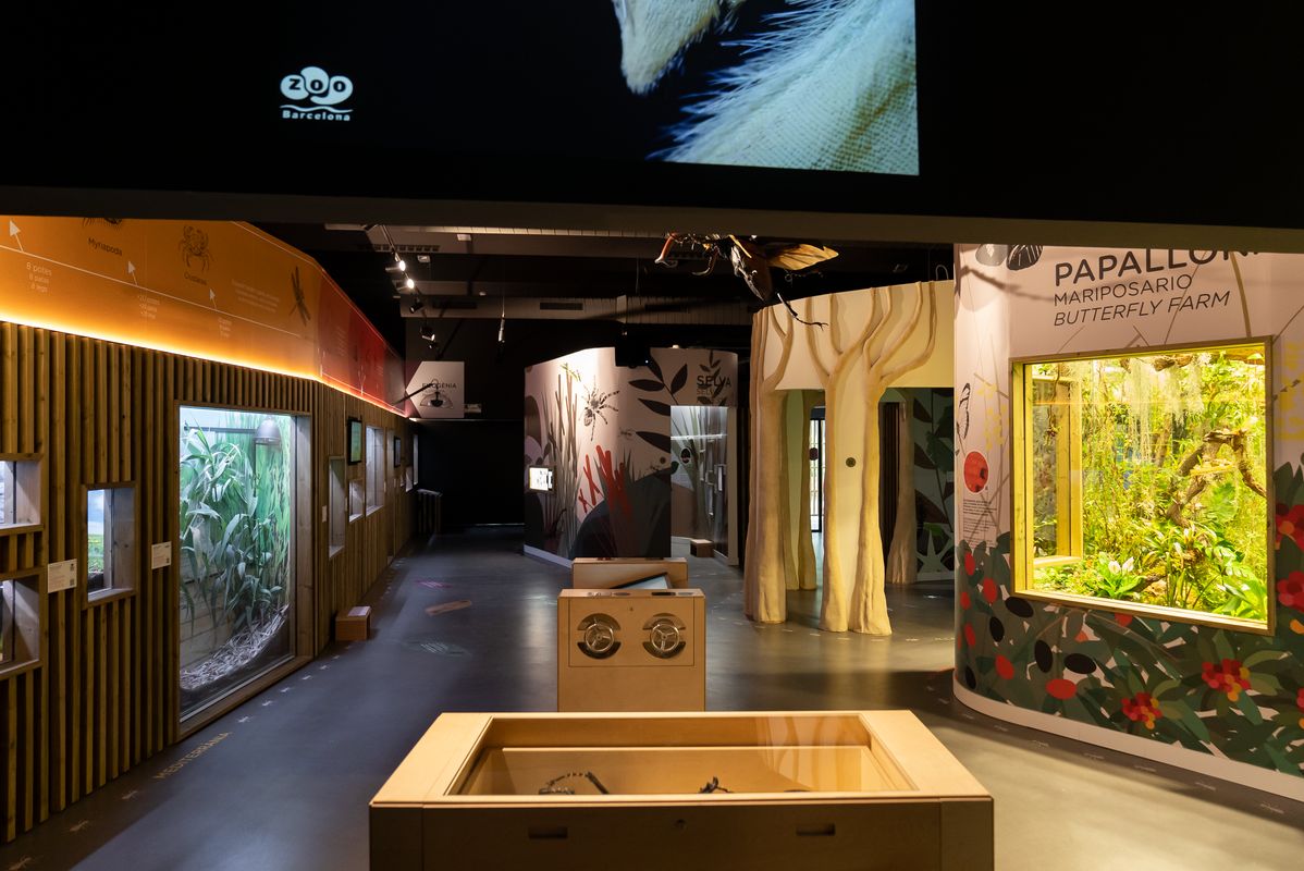 <div class='imageHoverDetail'>
             <p class='imageHoverTitle twoLineBreak'>Vista dels diferents hàbitats del nou espai d’invertebrats del Zoo de Barcelona</p>
             <p class='imageHoverAutor oneLineBreak'>Autor: Àlex Losada</p>
             <button class='imageHoverBtn'>Mostra els detalls de la imatge <span class='sr-only'>Vista dels diferents hàbitats del nou espai d’invertebrats del Zoo de Barcelona</span></button>
             </div>