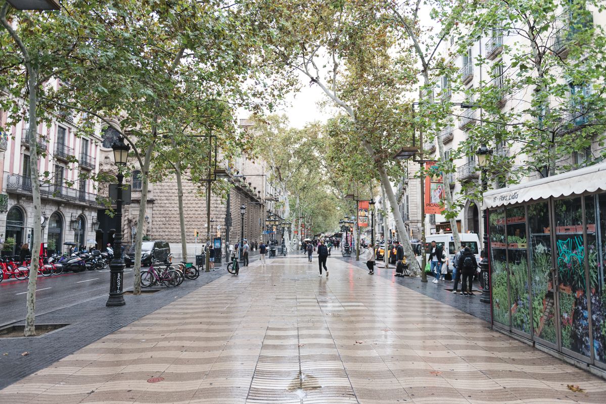 <div class='imageHoverDetail'>
             <p class='imageHoverTitle twoLineBreak'>Ambient a la Rambla de Barcelona </p>
             <p class='imageHoverAutor oneLineBreak'>Autor: Ceci Fimia</p>
             <button class='imageHoverBtn'>Mostra els detalls de la imatge <span class='sr-only'>Ambient a la Rambla de Barcelona </span></button>
             </div>