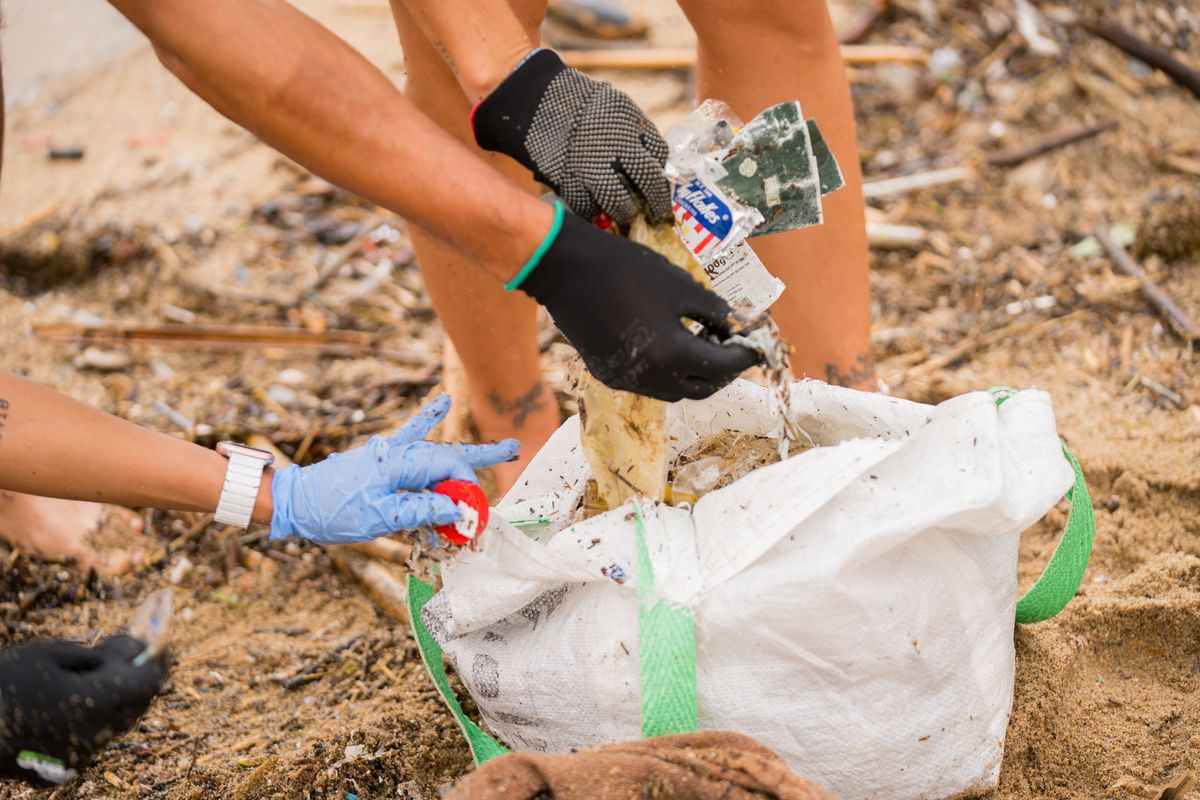 
             Voluntarios recogiendo residuos de la arena de la playa de la Barceloneta con...
             Autor: Sortkat
             Ver los detalles de la imagen Voluntarios recogiendo residuos de la arena de la playa de la Barceloneta con...
             