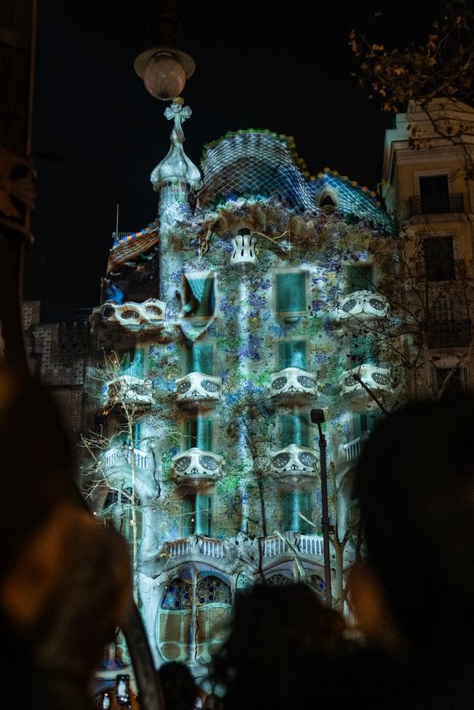 <div class='imageHoverDetail'>
             <p class='imageHoverTitle twoLineBreak'>Mapatge projectat a la façana de la Casa Batlló.</p>
             <p class='imageHoverAutor oneLineBreak'>Autor: Lucas Amillano</p>
             <button class='imageHoverBtn'>Mostra els detalls de la imatge <span class='sr-only'>Mapatge projectat a la façana de la Casa Batlló.</span></button>
             </div>