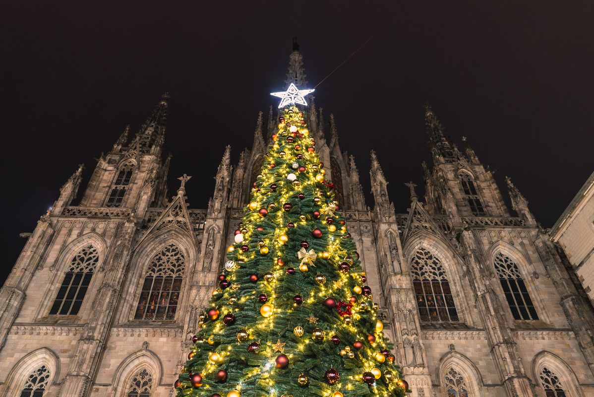 <div class='imageHoverDetail'>
             <p class='imageHoverTitle twoLineBreak'>Árbol de Navidad de la Feria de Santa Llúcia</p>
             <p class='imageHoverAutor oneLineBreak'>Autor: Júlia Arnau</p>
             <button class='imageHoverBtn'>Ver los detalles de la imagen <span class='sr-only'>Árbol de Navidad de la Feria de Santa Llúcia</span></button>
             </div>