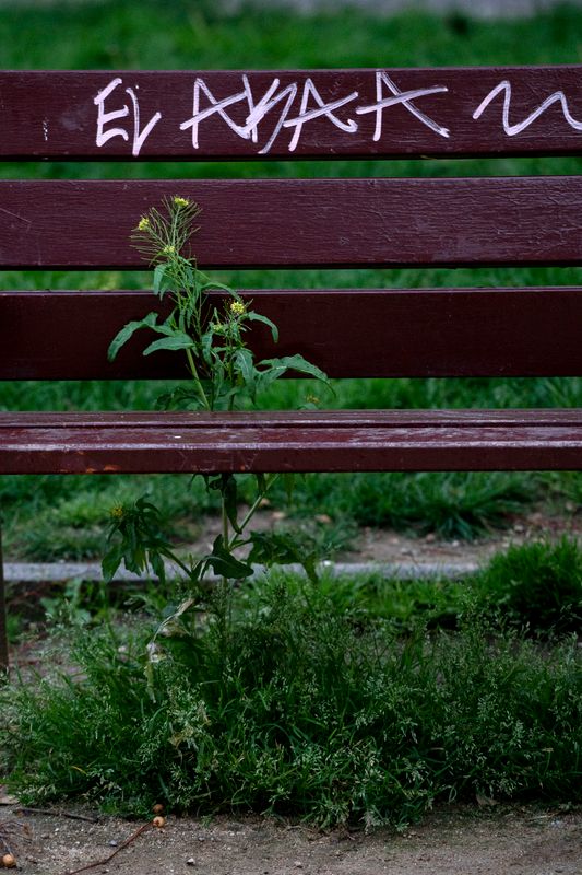 <div class='imageHoverDetail'>
             <p class='imageHoverTitle twoLineBreak'>Un dels bancs de les placetes de la Rambla on una planta ha crescut. District...</p>
             <p class='imageHoverAutor oneLineBreak'>Autor: Laura Guerrero</p>
             <button class='imageHoverBtn'>Mostra els detalls de la imatge <span class='sr-only'>Un dels bancs de les placetes de la Rambla on una planta ha crescut. District...</span></button>
             </div>
