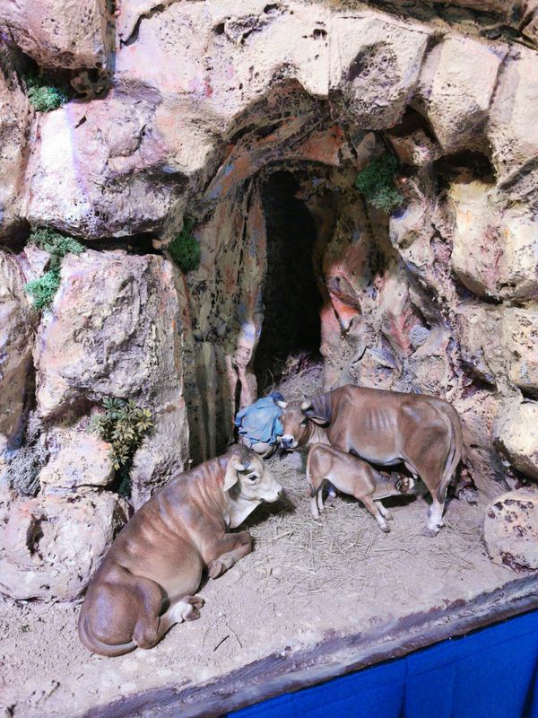 <div class='imageHoverDetail'>
             <p class='imageHoverTitle twoLineBreak'>Escena d’una establia amb unes vaques del pessebre tradicional d’inspiració m...</p>
             <p class='imageHoverAutor oneLineBreak'>Autor: Helena Martorell</p>
             <button class='imageHoverBtn'>Mostra els detalls de la imatge <span class='sr-only'>Escena d’una establia amb unes vaques del pessebre tradicional d’inspiració m...</span></button>
             </div>