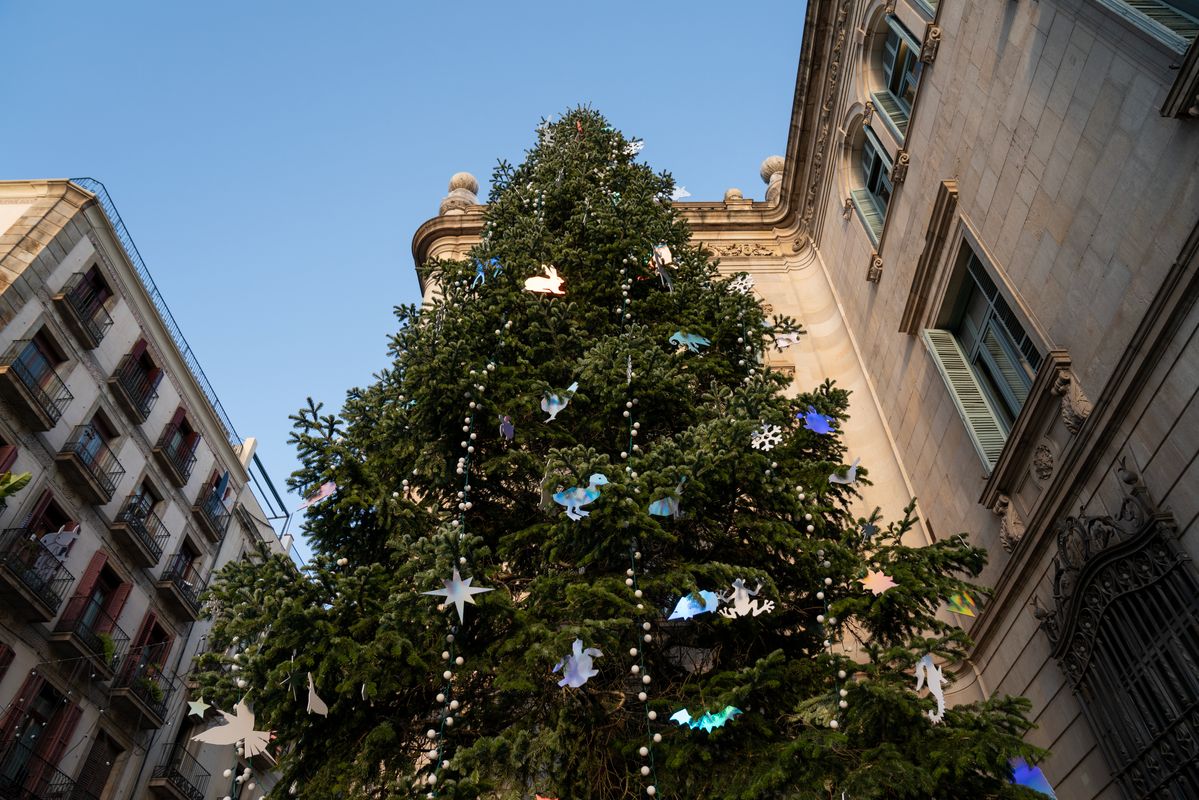 <div class='imageHoverDetail'>
             <p class='imageHoverTitle twoLineBreak'>Detall de l'enforcadura de l'arbre de Nadal de la plaça de Sant Jaume guarnit...</p>
             <p class='imageHoverAutor oneLineBreak'>Autor: Martí Petit</p>
             <button class='imageHoverBtn'>Mostra els detalls de la imatge <span class='sr-only'>Detall de l'enforcadura de l'arbre de Nadal de la plaça de Sant Jaume guarnit...</span></button>
             </div>