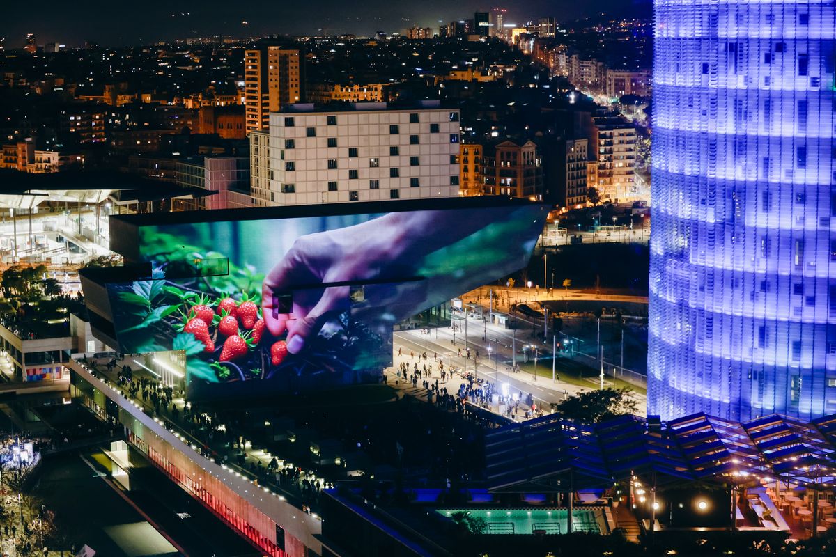 <div class='imageHoverDetail'>
             <p class='imageHoverTitle twoLineBreak'>Instal·lació artística 'Gènesi.IA', de Joan Fontcuberta, al Festival Llum BCN...</p>
             <p class='imageHoverAutor oneLineBreak'>Autor: Xavi Torrent</p>
             <button class='imageHoverBtn'>Mostra els detalls de la imatge <span class='sr-only'>Instal·lació artística 'Gènesi.IA', de Joan Fontcuberta, al Festival Llum BCN...</span></button>
             </div>