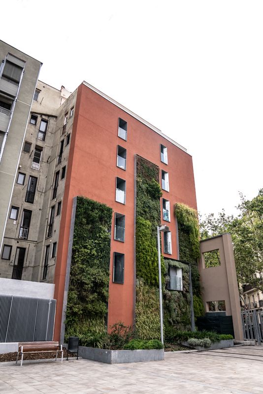 
             Vista general de la medianera de un edificio con vegetación vertical.
             Autor: Paula Jaume
             Ver los detalles de la imagen Vista general de la medianera de un edificio con vegetación vertical.
             
