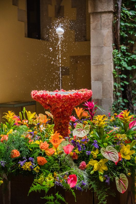 <div class='imageHoverDetail'>
             <p class='imageHoverTitle twoLineBreak'>Brollador del Palau del Lloctinent decorat amb flors per a l'ou com balla amb...</p>
             <p class='imageHoverAutor oneLineBreak'>Autor: Pep Herrero</p>
             <button class='imageHoverBtn'>Mostra els detalls de la imatge <span class='sr-only'>Brollador del Palau del Lloctinent decorat amb flors per a l'ou com balla amb...</span></button>
             </div>