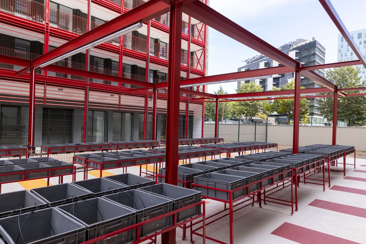 
             Estructures de taules i caixes amb rec preparades per a un hort urbà a l