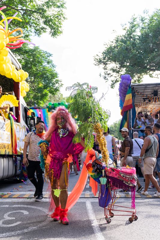 
             Una drag-queen desfilant entre les carrosses del Pride
             Autor: Paula Jaume
             Mostra els detalls de la imatge Una drag-queen desfilant entre les carrosses del Pride
             