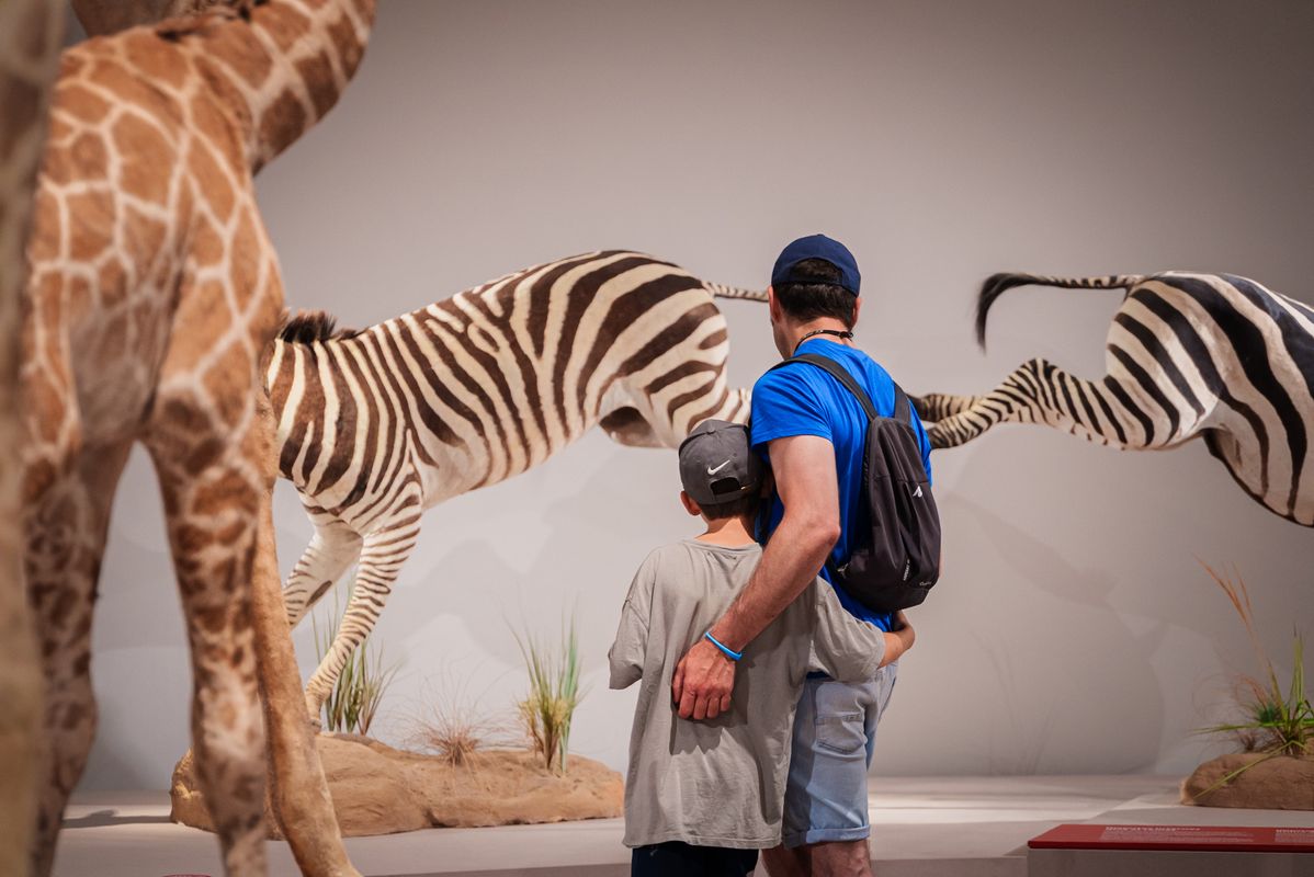 
             Un hombre con un niño mirando una exposición de animales en las puertas abier...
             
             Ver los detalles de la imagen Un hombre con un niño mirando una exposición de animales en las puertas abier...
             