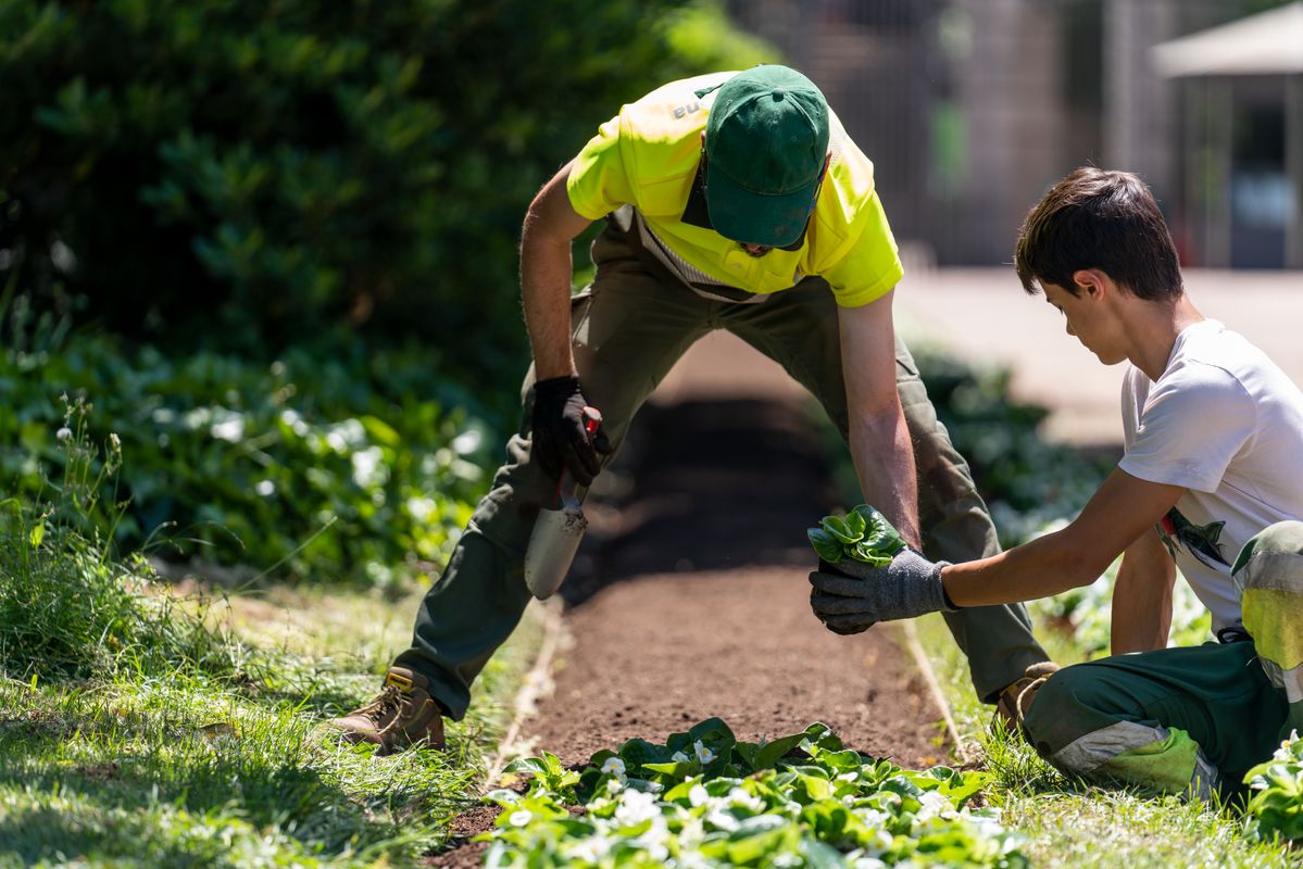 <div class='imageHoverDetail'>
             <p class='imageHoverTitle twoLineBreak'>Dos treballadors de Parcs i Jardins van plantant uns planters a un parterre d...</p>
             <p class='imageHoverAutor oneLineBreak'>Autor: Mariona Gil</p>
             <button class='imageHoverBtn'>Mostra els detalls de la imatge <span class='sr-only'>Dos treballadors de Parcs i Jardins van plantant uns planters a un parterre d...</span></button>
             </div>