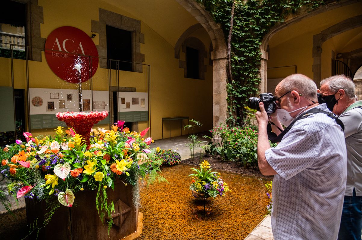 <div class='imageHoverDetail'>
             <p class='imageHoverTitle twoLineBreak'>Gent fotografia l'ou com balla del pati del Palau del Lloctinent. Darrere, es...</p>
             <p class='imageHoverAutor oneLineBreak'>Autor: Pep Herrero</p>
             <button class='imageHoverBtn'>Mostra els detalls de la imatge <span class='sr-only'>Gent fotografia l'ou com balla del pati del Palau del Lloctinent. Darrere, es...</span></button>
             </div>