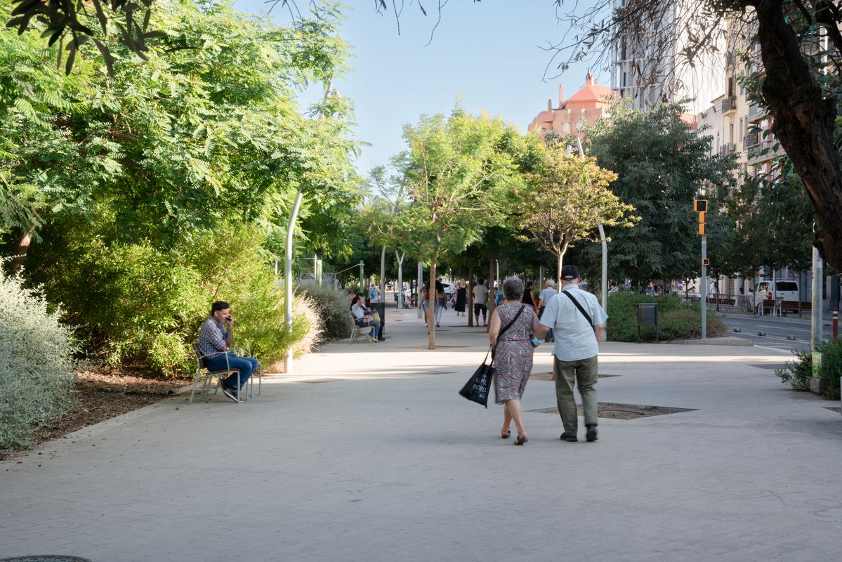 
             Una pareja de personas mayores pasea por la rambla central de la avenida Diag...
             Autor: Martí Petit
             Ver los detalles de la imagen Una pareja de personas mayores pasea por la rambla central de la avenida Diag...
             